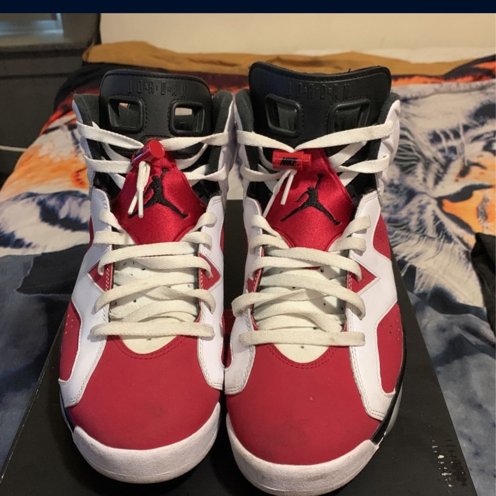 Carmine 6 Jordan size 11
